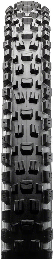 Maxxis Assegai Tire