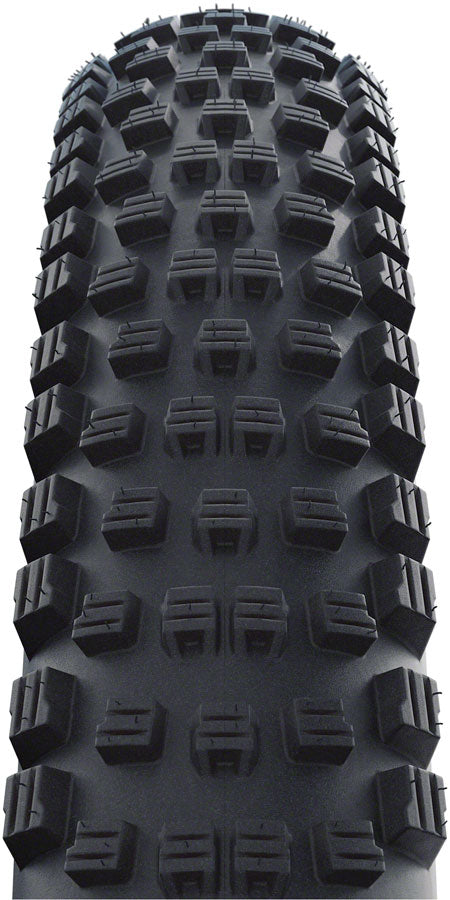 Schwalbe Wicked Will Tire
