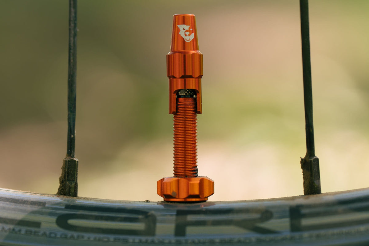 Tubeless Valve Stem Kit for Clik Valve