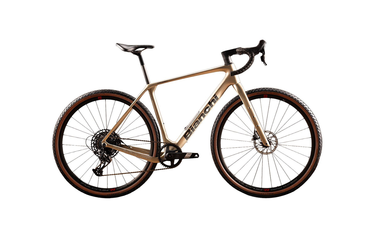 Bianchi Arcadex — custom build at Maklin Bike Shop