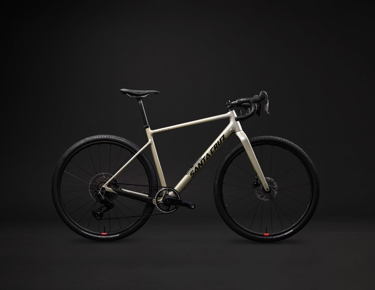 Santa Cruz Stigmata — built at Maklin Bike Shop