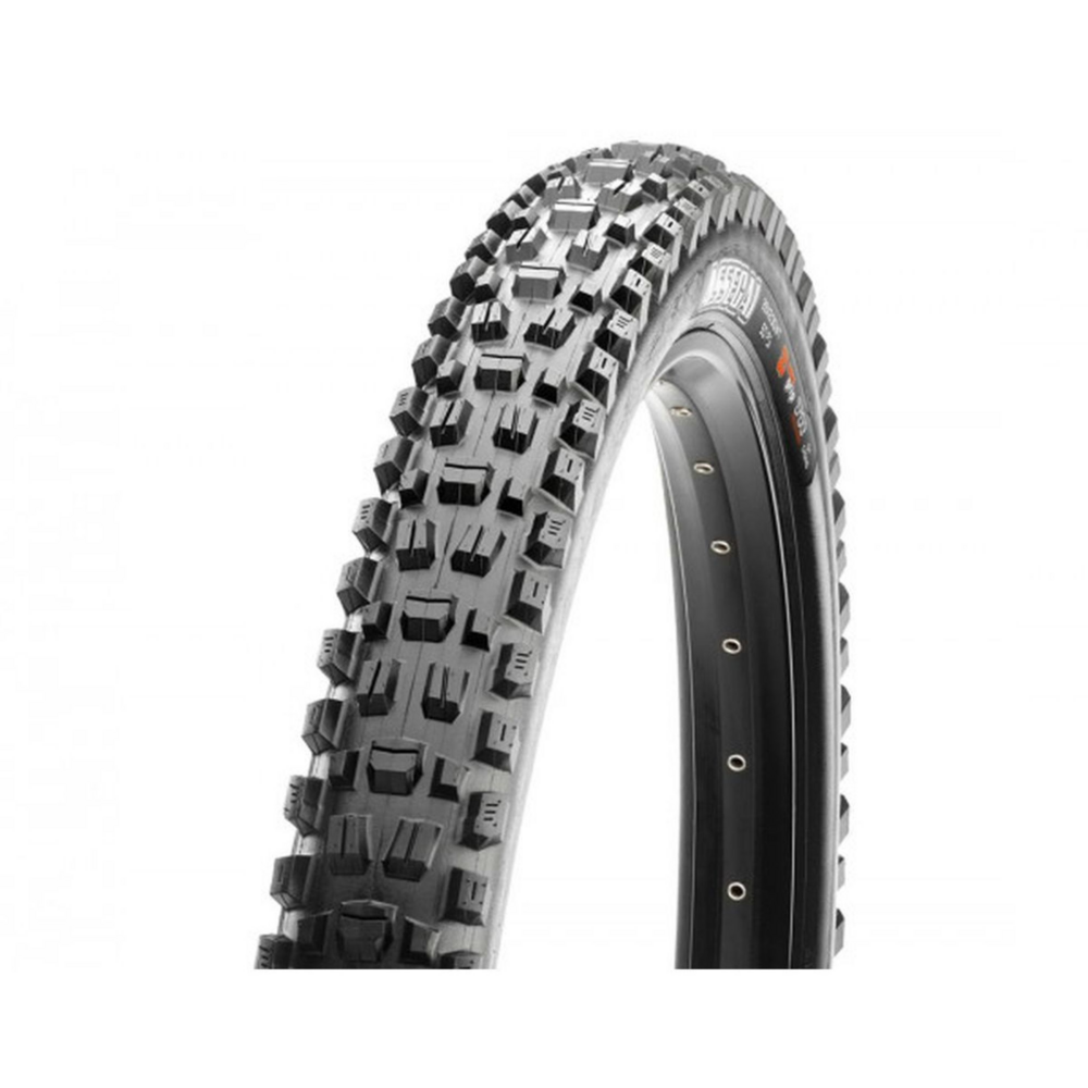 Assegai Mountain - 3C MaxxTerra EXO+ TR WT